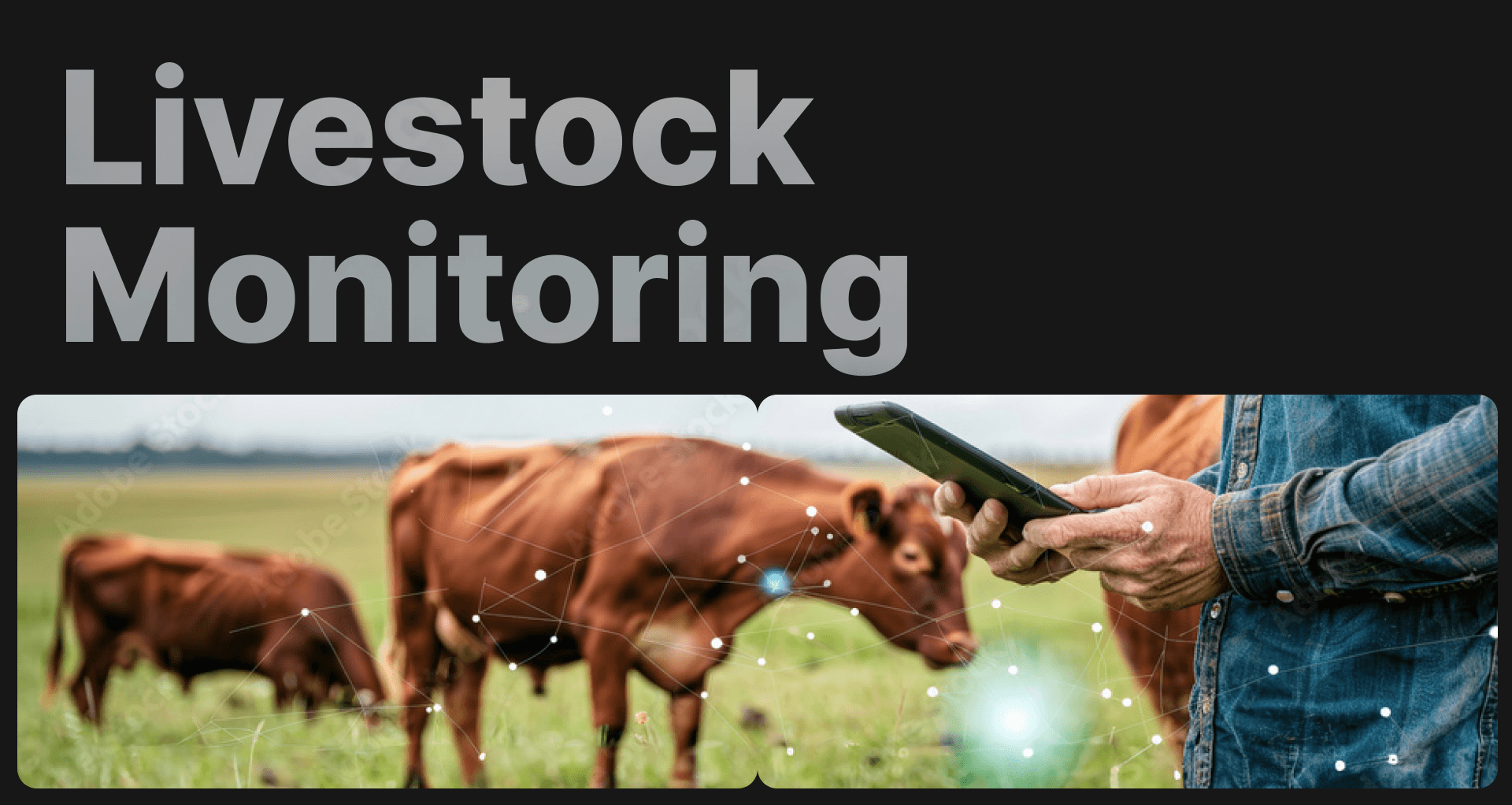 AI for Livestock Monitoring: Enhancing Animal Welfare and Farm Productivity