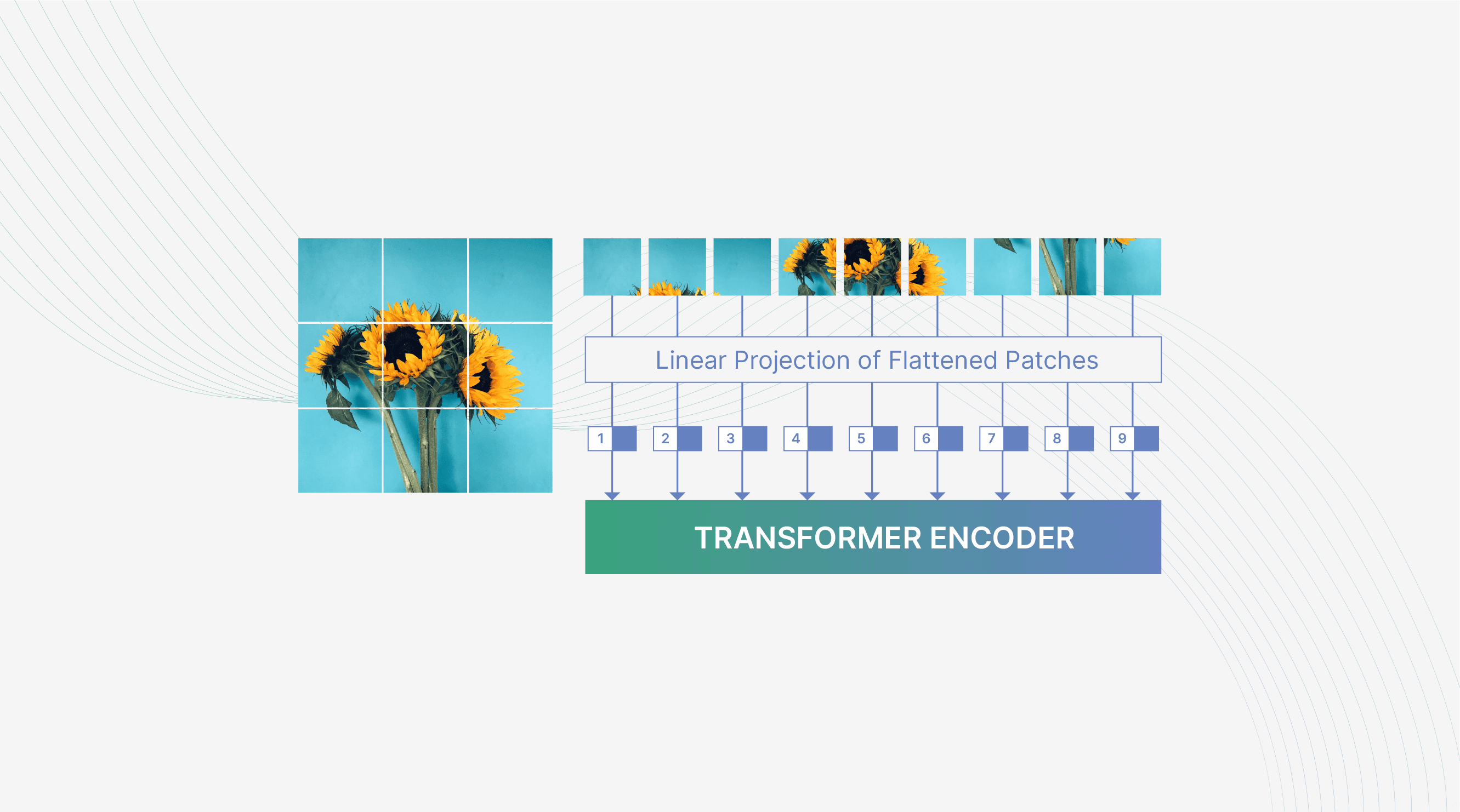 Are Transformers replacing CNNs in Object Detection?