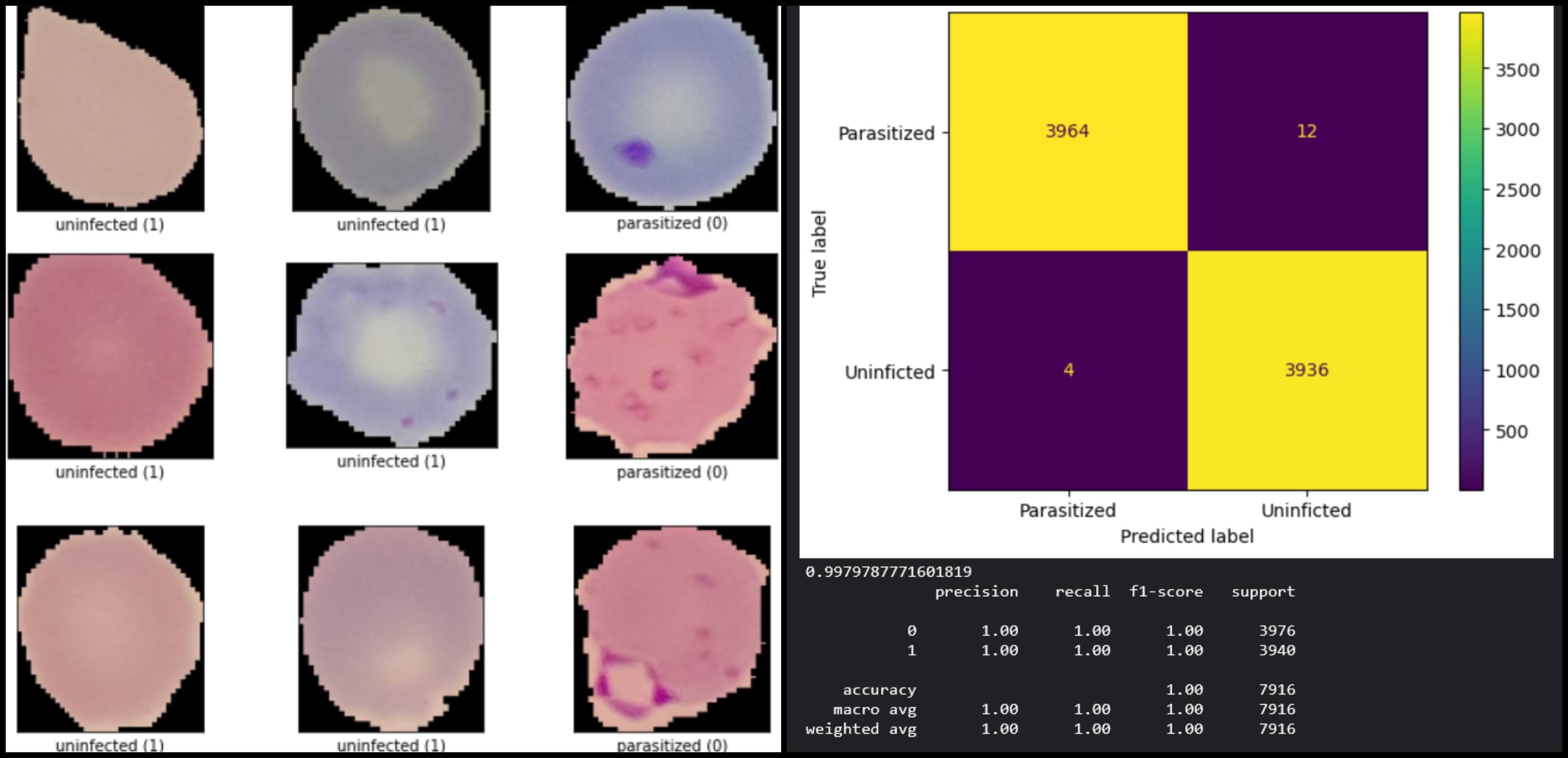 Best Practices for Fine-Tuning Computer Vision Models