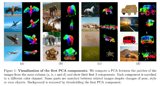 DINOv2 - Steps by steps explanations - Picsellia
