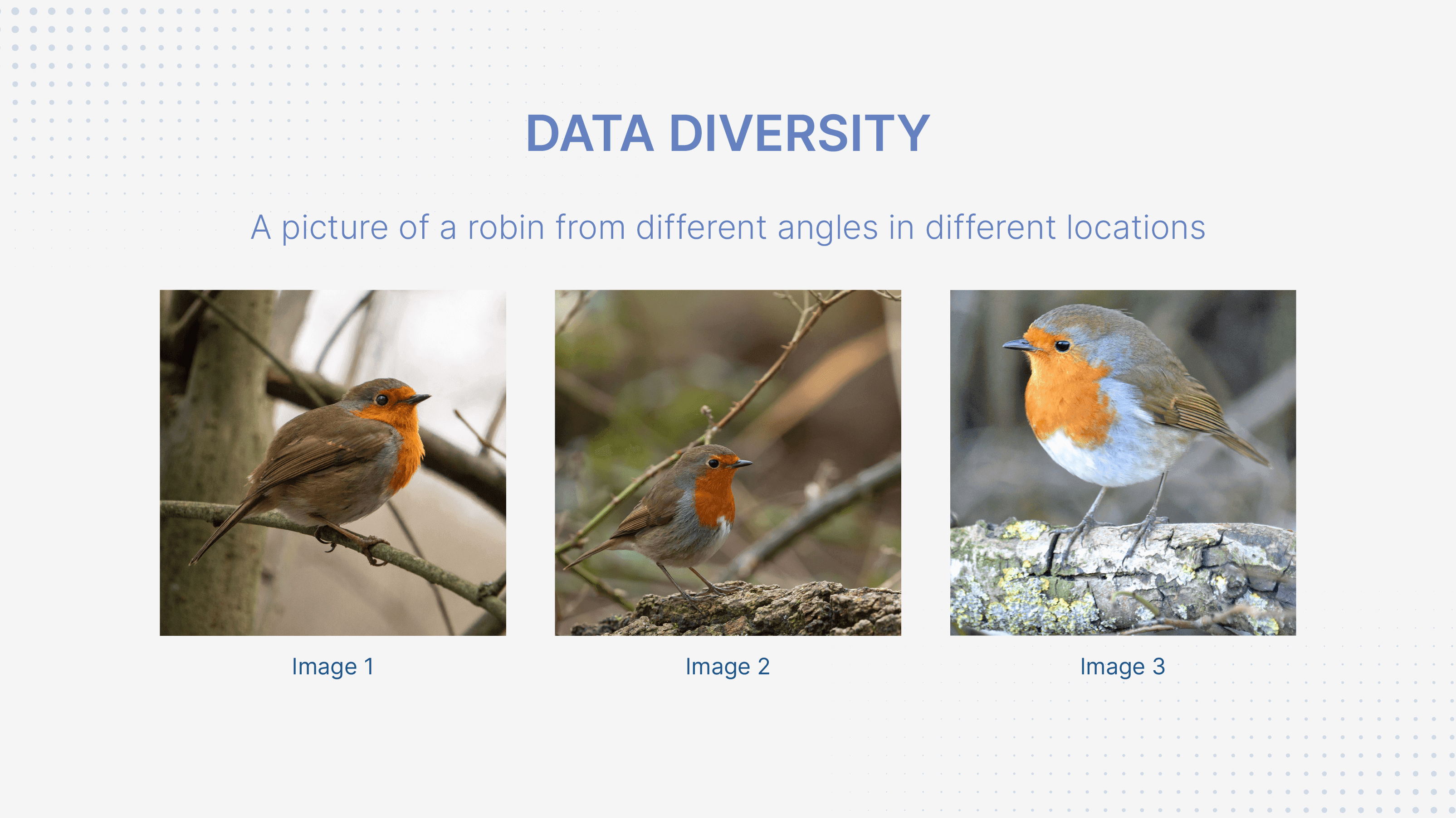 How To Ensure Data Quality – Best Practices
