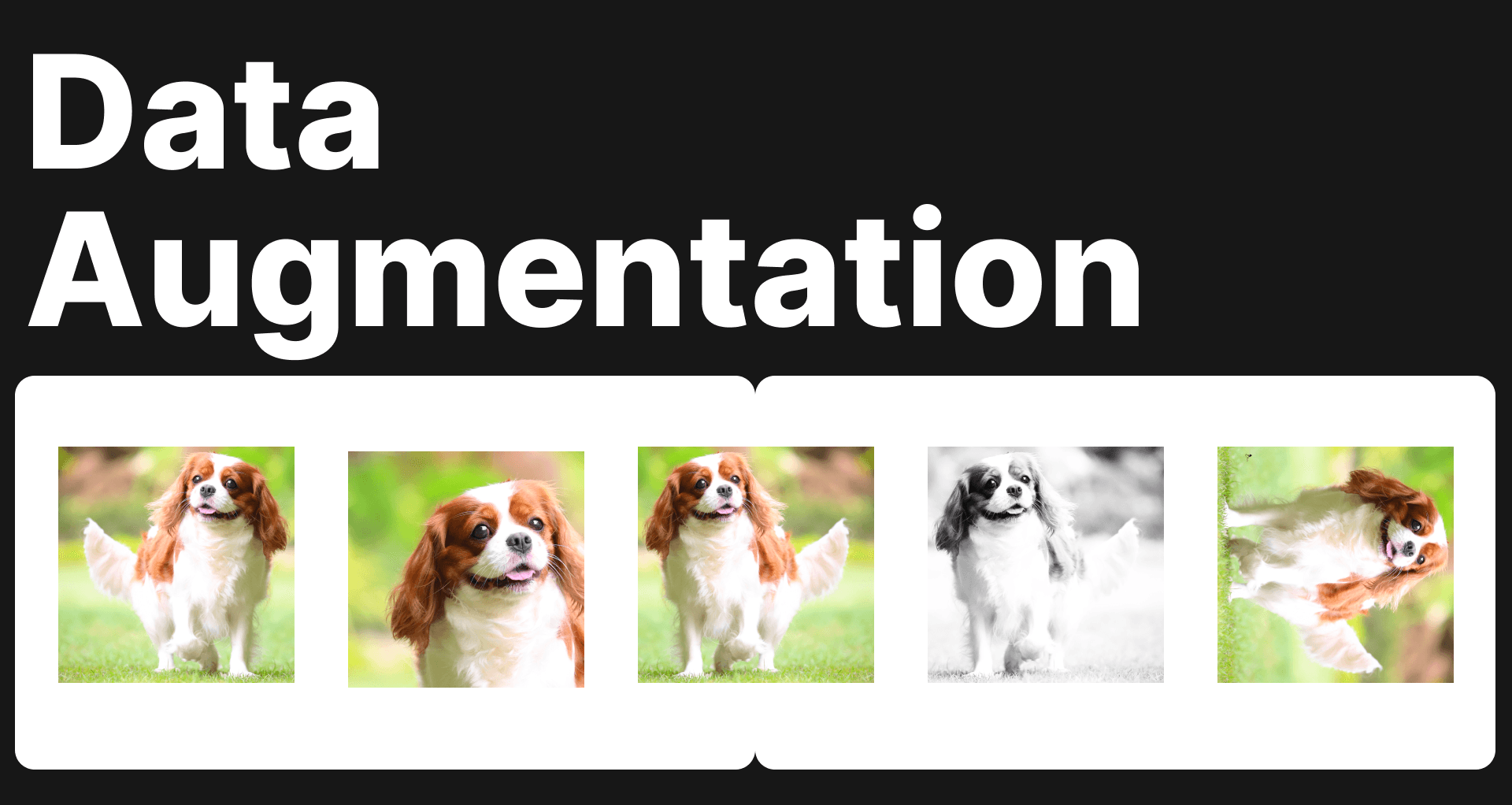 What Is Image Data Augmentation?