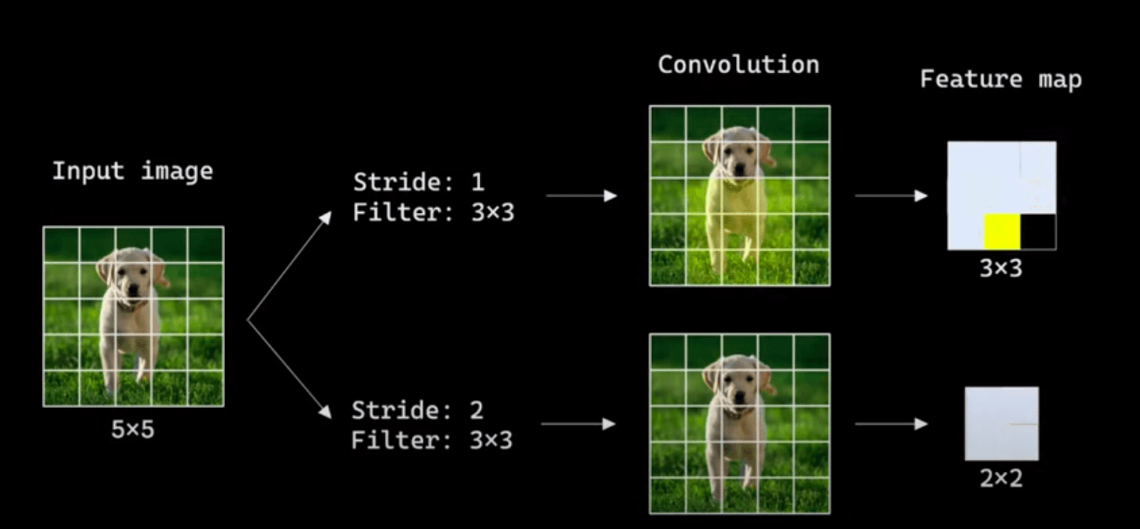 Embeddings Array Image Embeddings explained | Picsellia
