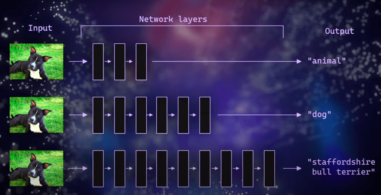 Image Embeddings explained | Picsellia