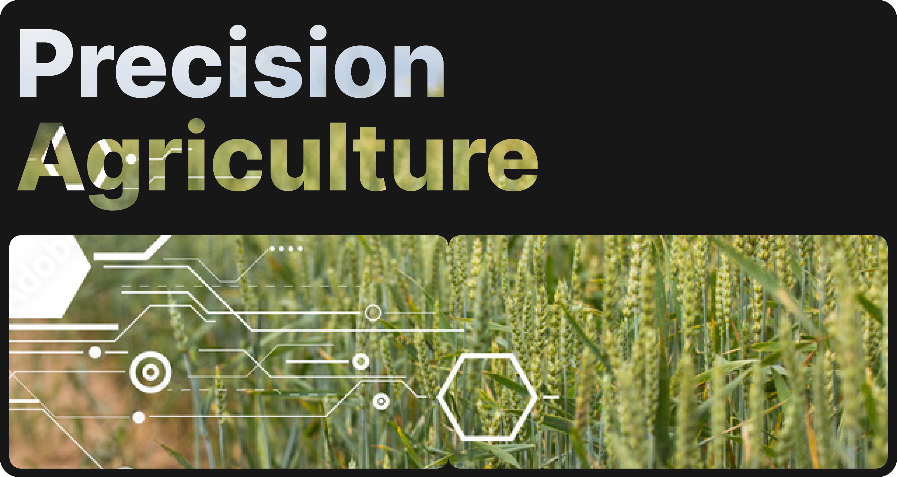 Precision Agriculture: Using Computer Vision for Crop Health Monitoring