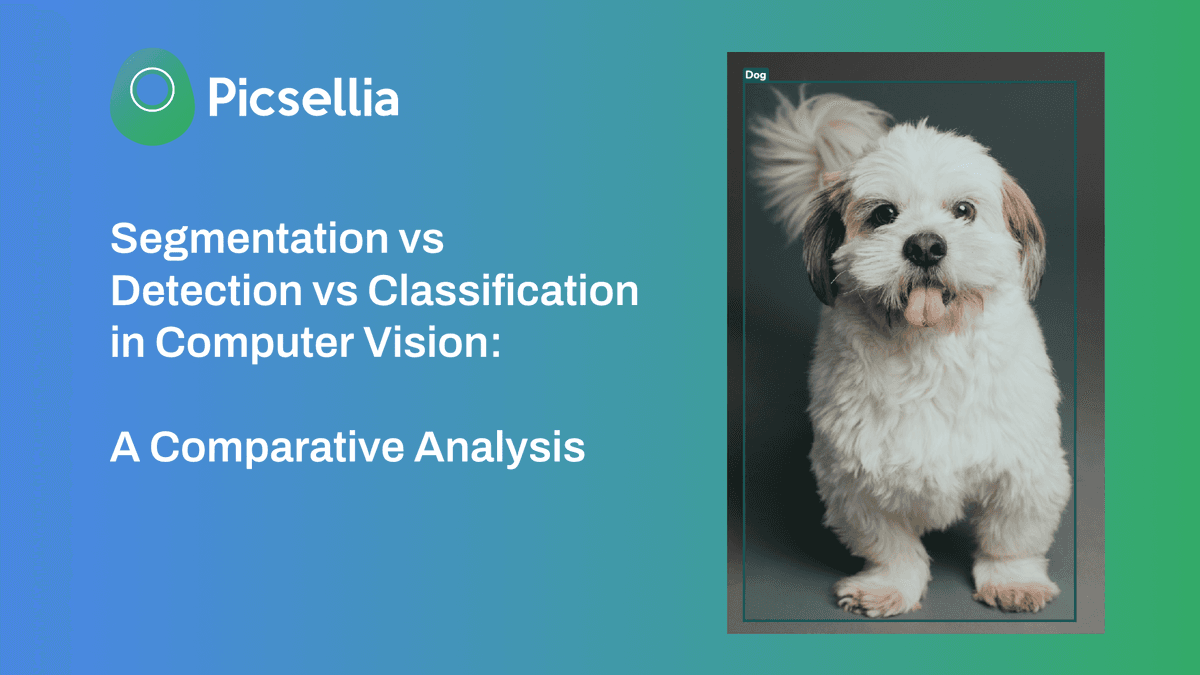 Segmentation Vs Classification Segmentation vs Detection vs Classification in Computer Vision: A ...