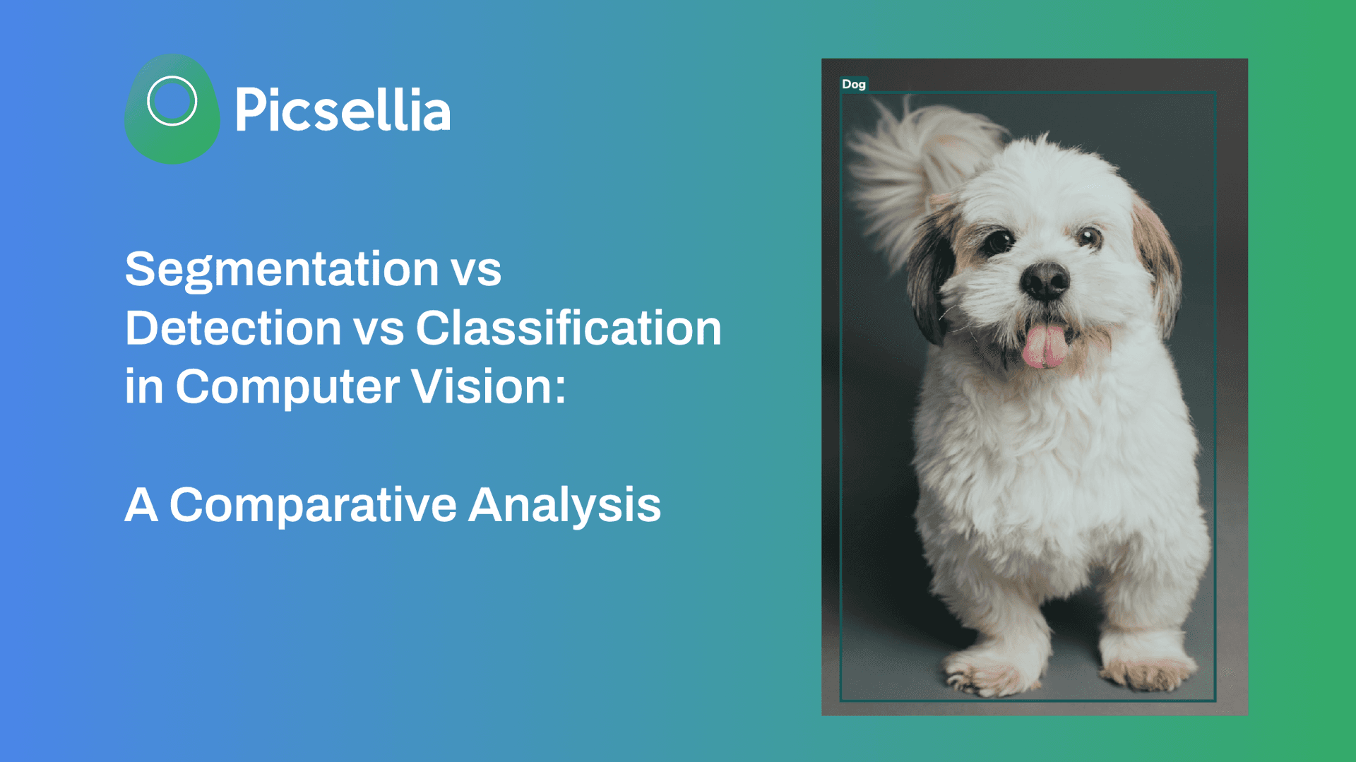 Image Classification Vs Detection Segmentation vs Detection vs Classification in Computer Vision: A ...