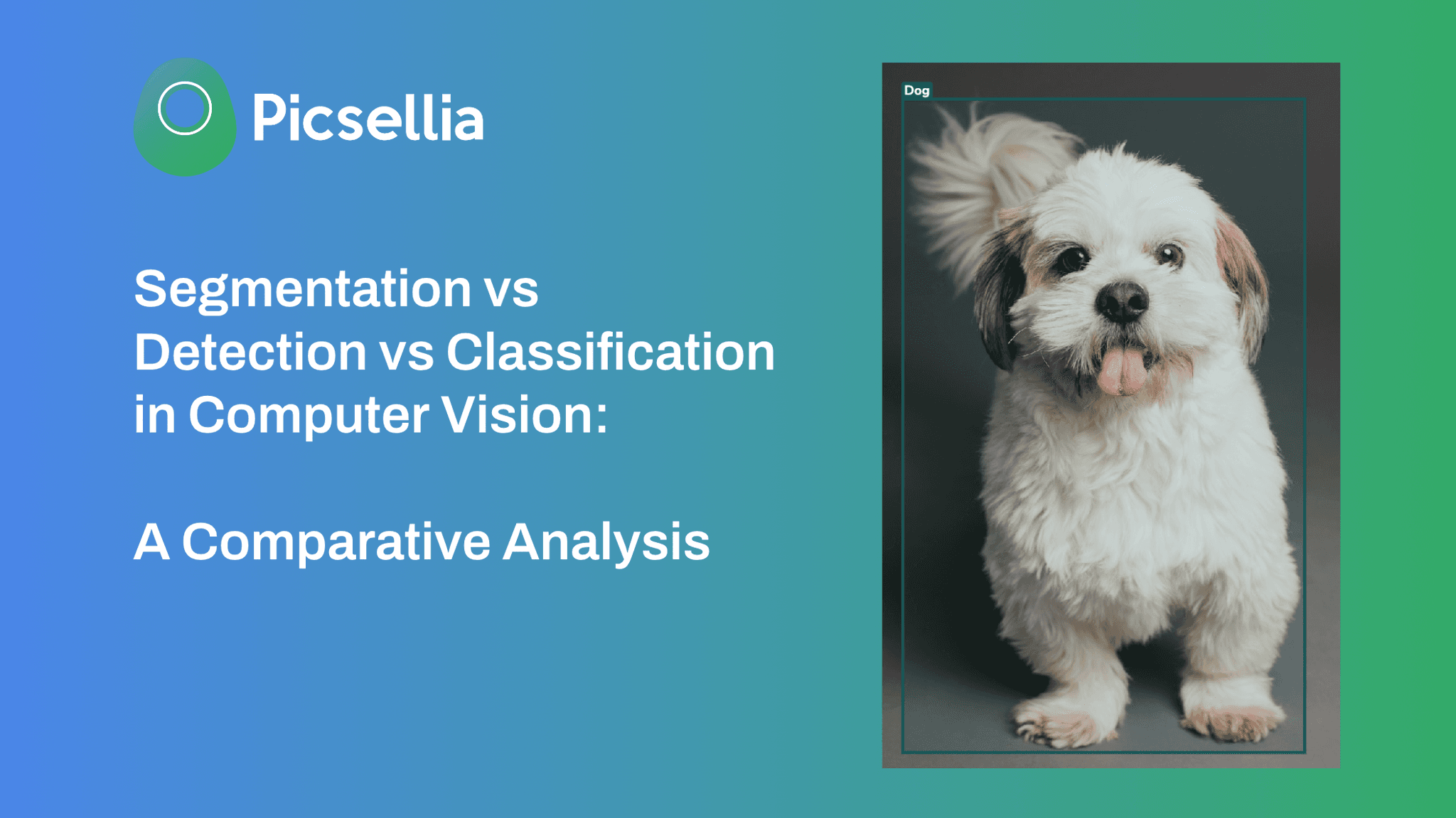 Segmentation vs Detection vs Classification in Computer Vision: A ...