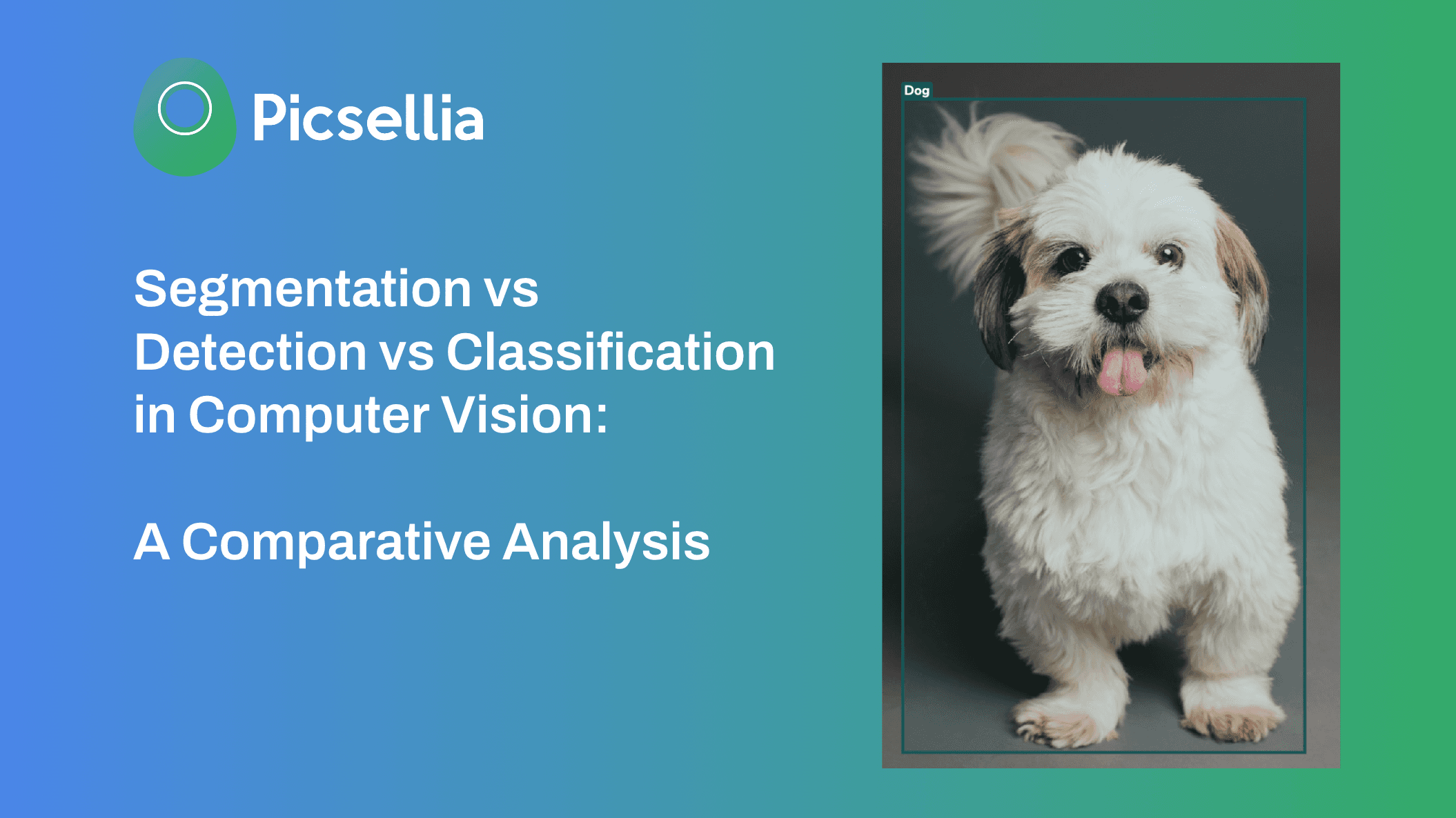 Segmentation vs Detection vs Classification in Computer Vision: A Comparative Analysis