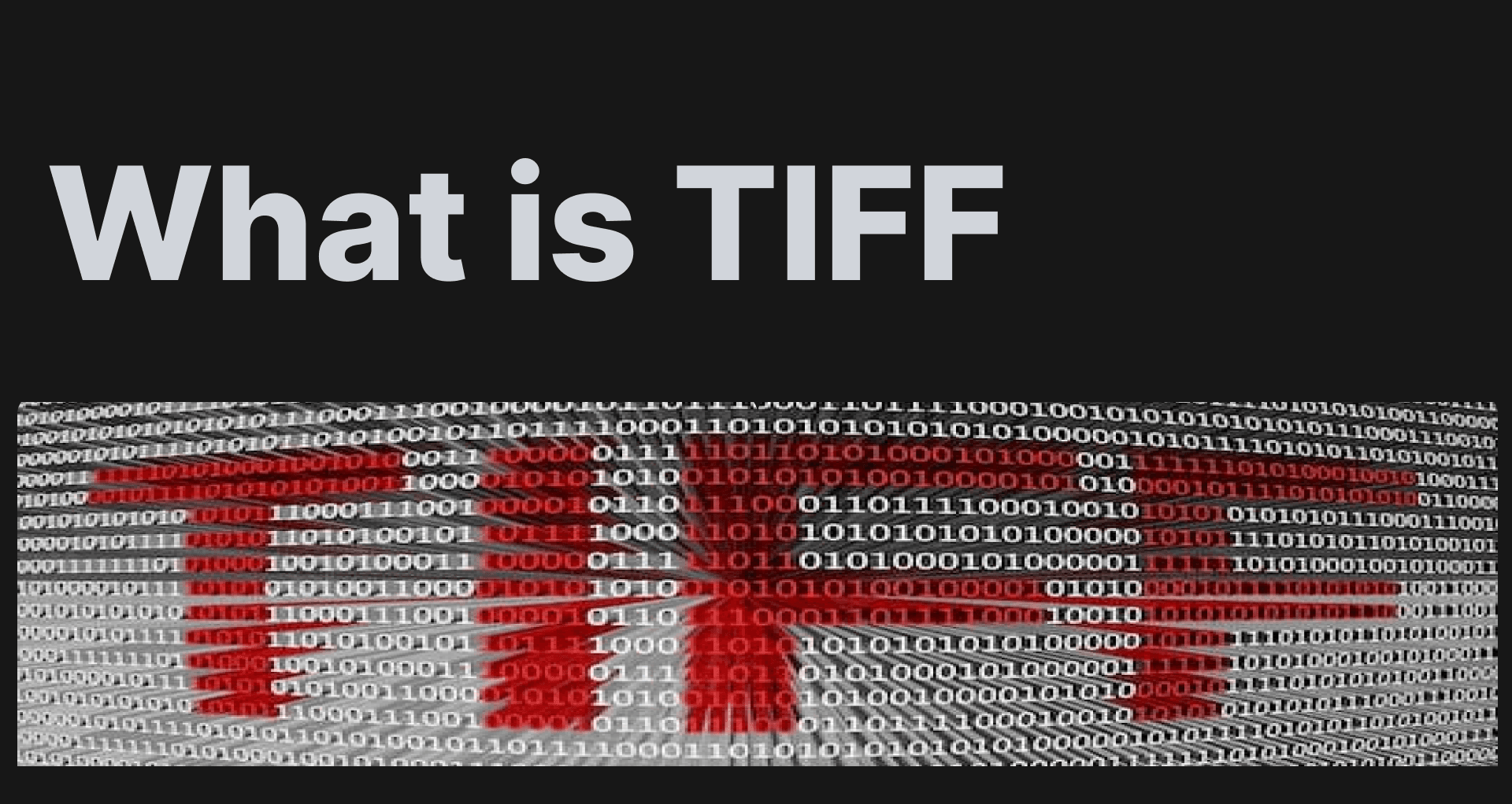 A guide to Tag Image File Format (TIFF): Leveraging High-Pixel Quality for Computer Vision Applications
