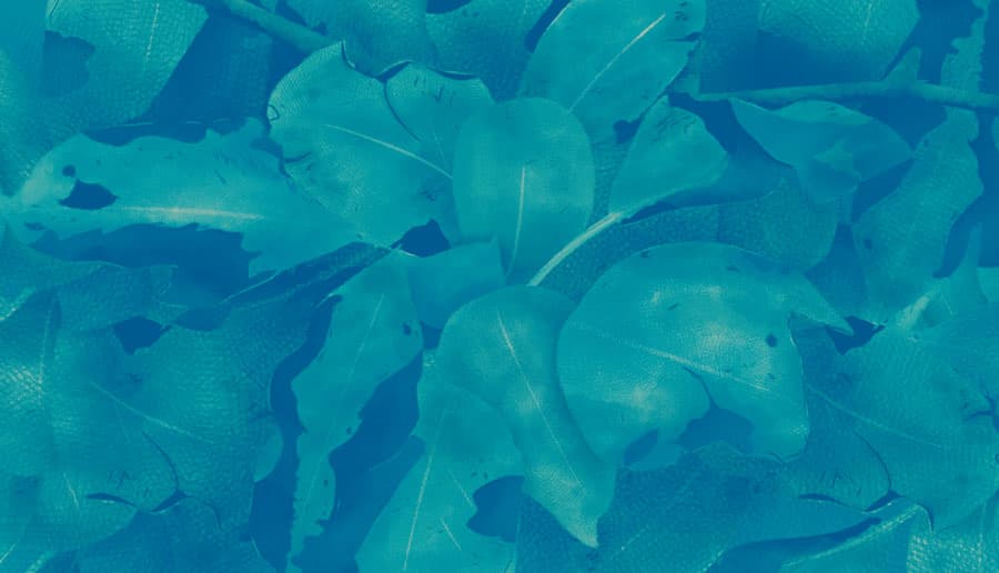 Flagged prediction 4